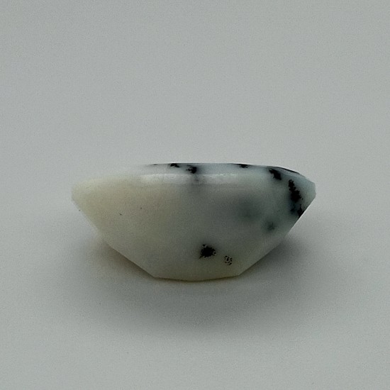 Dendrite 8.34 Ct Certified Dendrite 8.34 Ct Certified